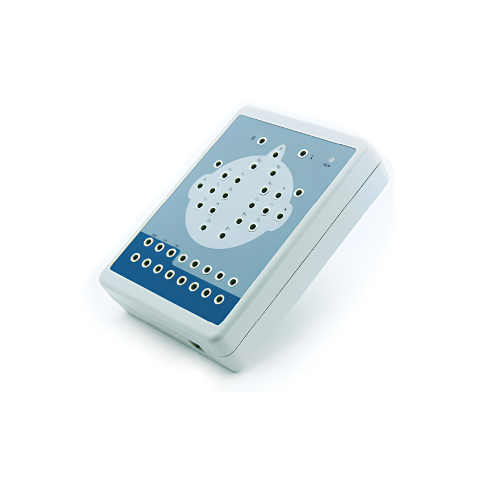 EEG KT88